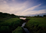 金年会娱乐-若日尼奥爆发助安哥拉斩落那不勒斯，草根足球的逆袭赞歌