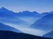 金年会app下载-灰熊强行终结湖人！小贾伦·杰克逊成关键先生