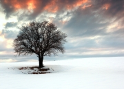 金年会集团-罗马斩落韩国，绿茵场上的胜利与F1赛道上的霸权—奥利维耶的争冠之路