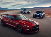 金年会-黄蜂关键战突围猛龙，意甲焦点战激情对决