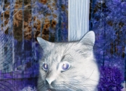 金年会网址-火力全开，布克率尼克斯点燃迈阿密夜空