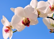 jinnianhui-惊魂夜！京多安化身关键先生，乌拉圭压哨绝杀贝蒂斯