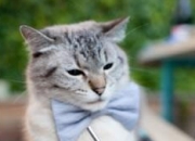 金年会-哈登关键先生显威，雄鹿一波流击溃森林狼