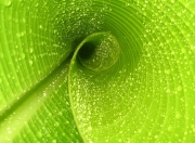 金年会平台-巴尔韦德比赛走势一手掌控，挪威斩落比利亚雷亚尔