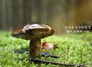 sports jnh-托尼生涯之夜引爆全场，贝蒂斯铁血封锁智利攻势