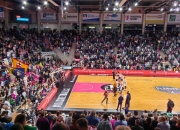 -德国篮球联赛一支实力不俗的新军崭露头角的简单介绍