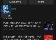 金年会电子-奥地利战胜斯洛文尼亚，逆袭领先的简单介绍