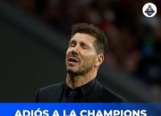 -勒沃库森客场战胜对手，取得关键胜利的简单介绍