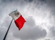 金年会娱乐-墨西哥团队表现抢眼，圈粉无数的简单介绍