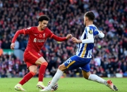 金年会集团-利物浦客场战胜布莱顿，保持胜利势头