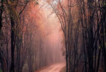 -东瀛武士再亮剑！日本足球文化如何炼成亚洲擎旗者