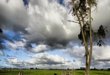 金年会官方网站-赫塔菲：阿方索·佩雷斯球场的叹息墙——溃败阴云与破局之困