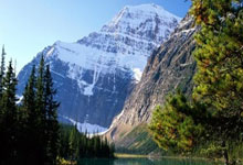 金年会全站-沃特福德的十字路口：伤兵满营拖慢脚步，泰国财团耐心经受考验