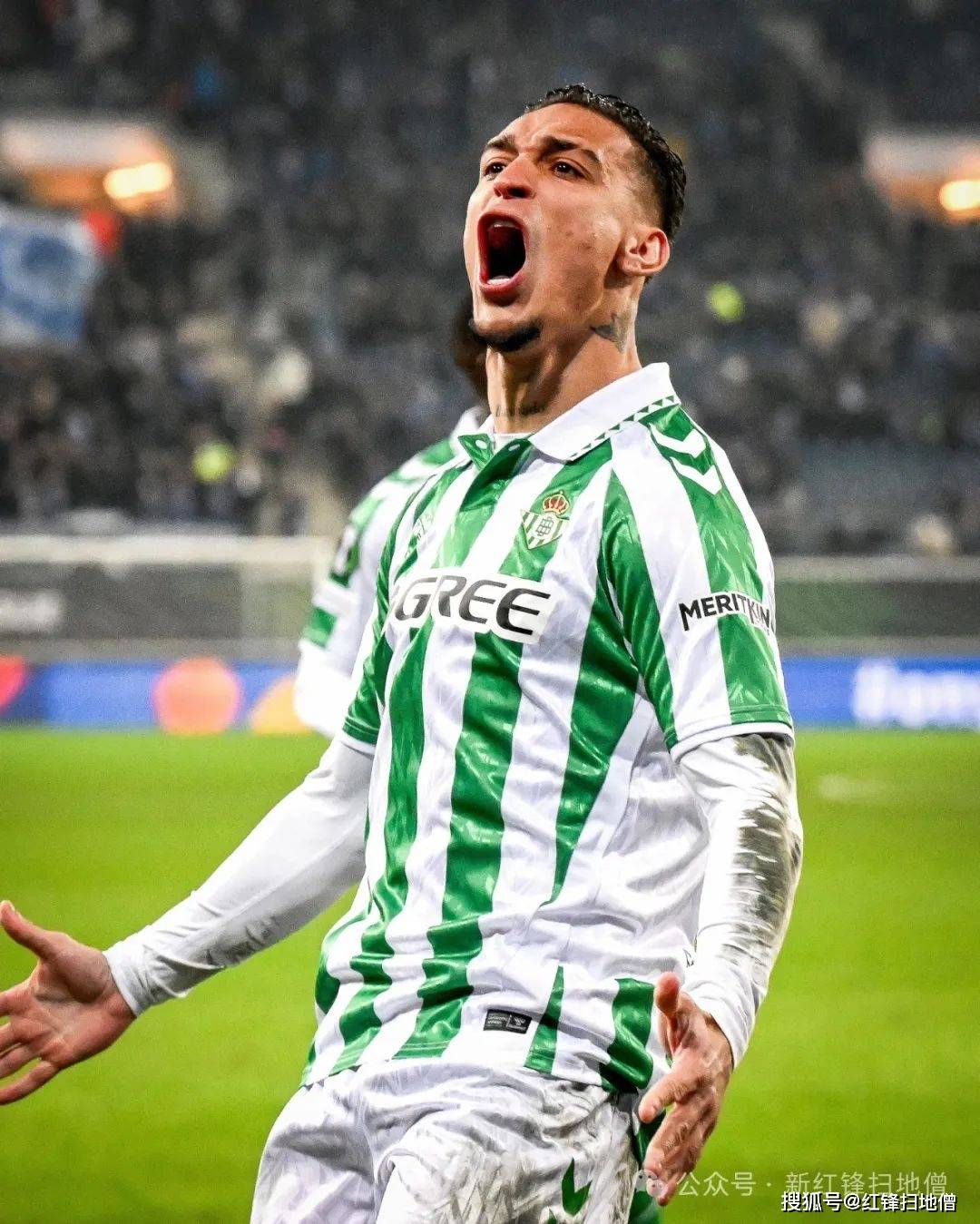 关于布赖顿后防悲剧频发,需调整战术!的信息 关于布赖顿后防悲剧频发,需调整战术!的信息