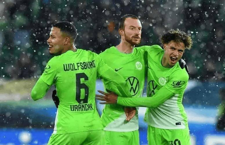 沃尔夫斯堡主场告捷,守住主场优势的简单介绍 沃尔夫斯堡主场告捷,守住主场优势的简单介绍