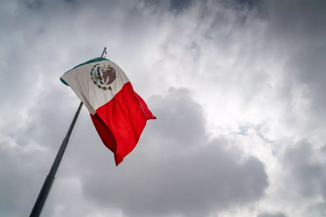 墨西哥团队表现抢眼,圈粉无数的简单介绍 墨西哥团队表现抢眼,圈粉无数的简单介绍