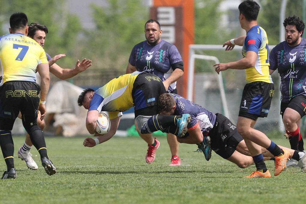 包含橄榄球赛事精彩瞬间盘点，年度回顾震撼登场的词条