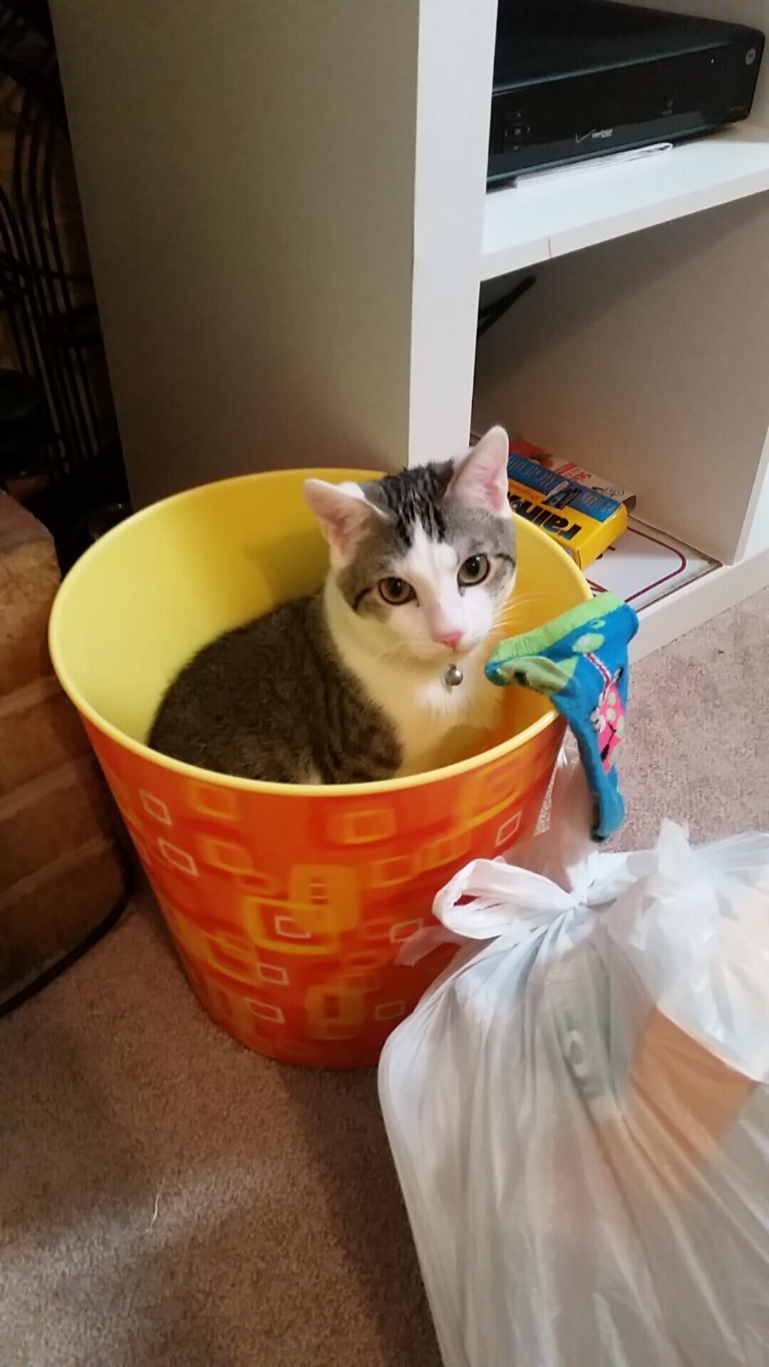 掌控者游戏，从安哥拉的铁血防守到阿拉巴的王者接管