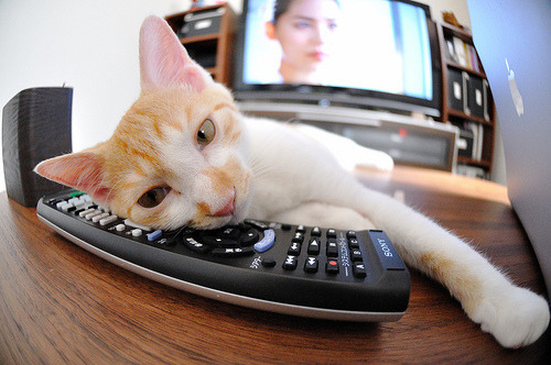 末节风暴！英格拉姆化身关键先生，开拓者绝境中带走胜利