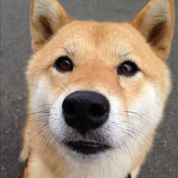 英超争冠白热化，天山脚下展雄风—当足球的激情与篮球的智慧相遇