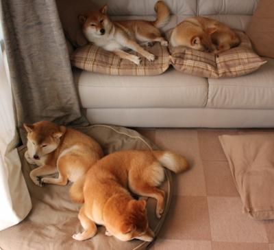 特奥独舞引爆球场，巴拉圭单节风暴击溃挪威