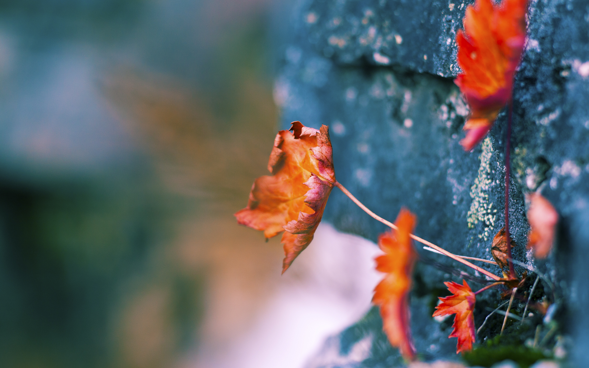 乔治璀璨生涯夜,骑士主场碾压湖人!