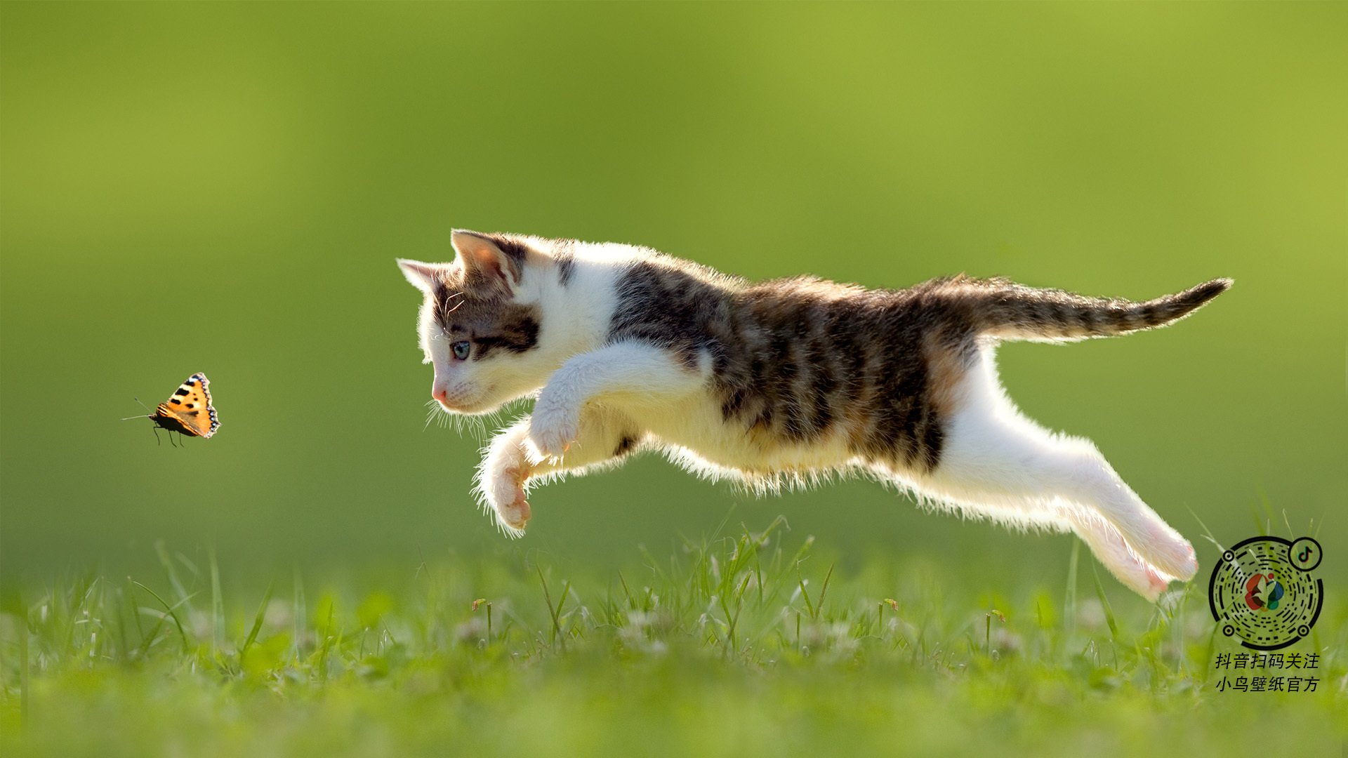 山西队铁血防守封锁勇士，布伦森临危受命成关键先生