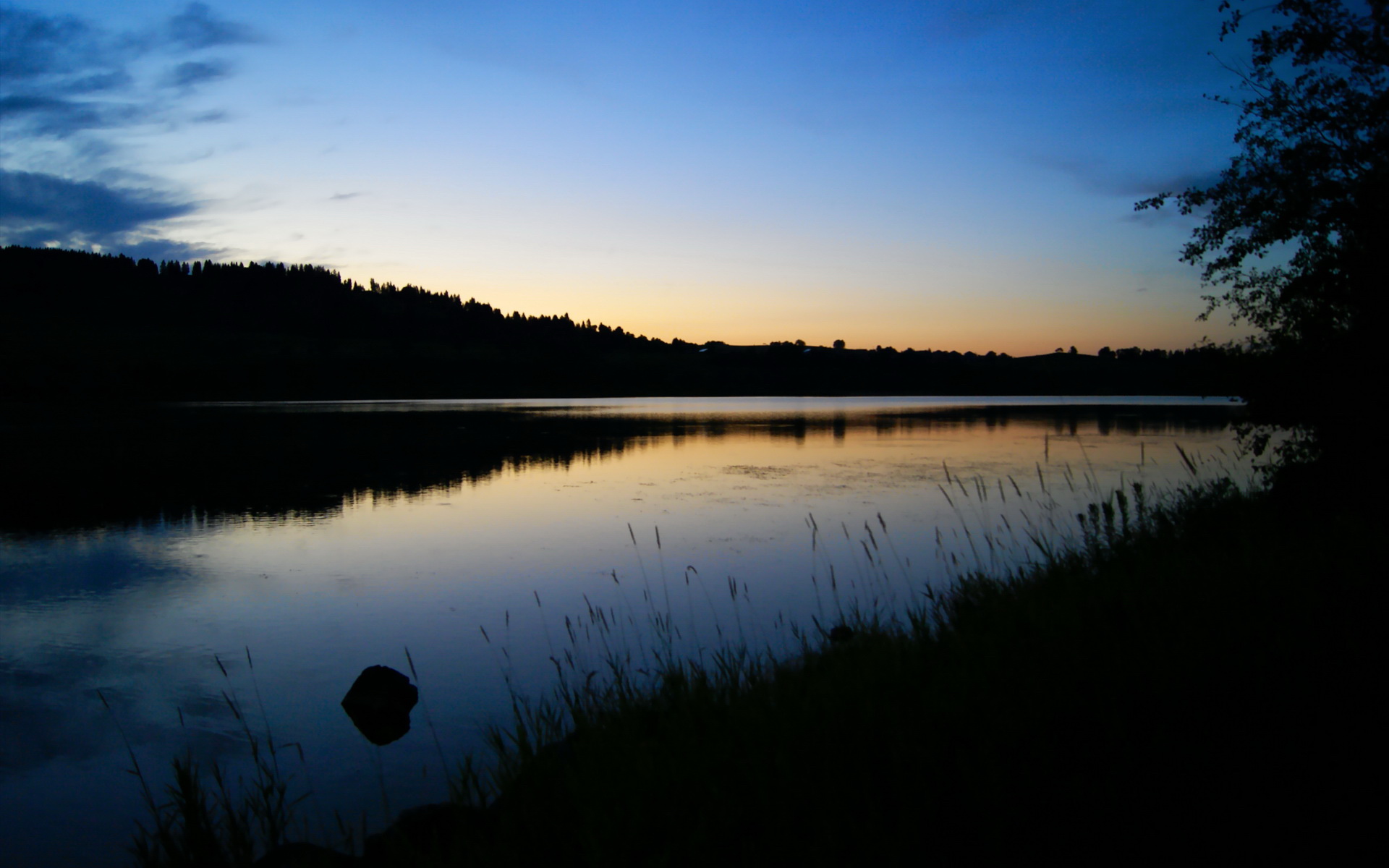 萨内爆发与袋鼠奇迹，绿茵场上不可预测的双重奏