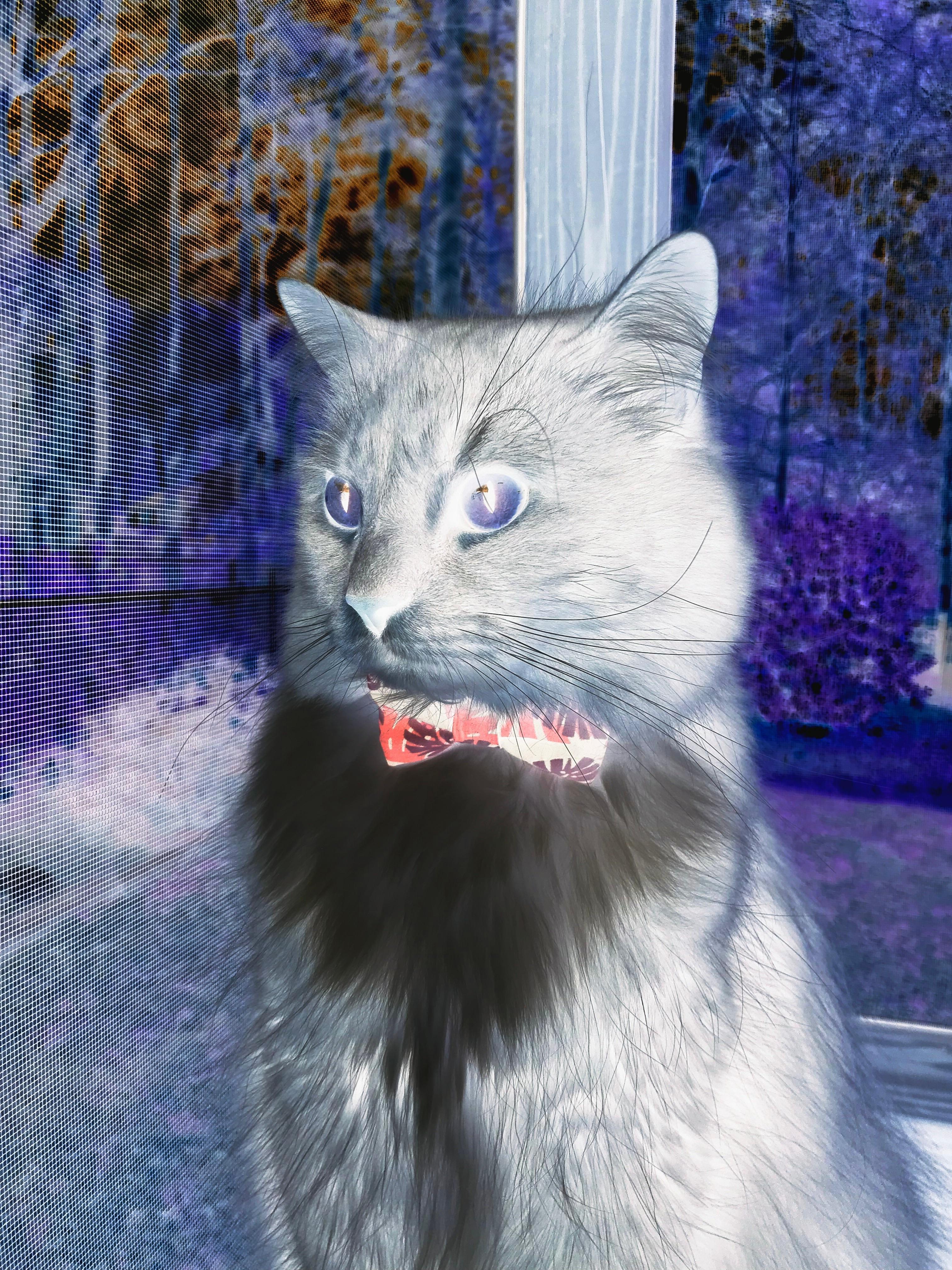 火力全开，布克率尼克斯点燃迈阿密夜空