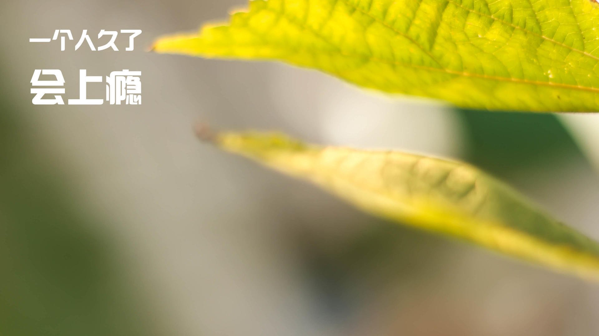 双重战场，从地缘博弈到终场哨响—论关键时刻的接管