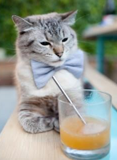 哈登关键先生显威，雄鹿一波流击溃森林狼